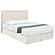 Pirro Upholstered Queen or Full Panel Headboard Sand by Coaster