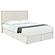 Izzy Upholstered King Panel Headboard Sand by Coaster