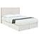 Kosmo Upholstered Queen or Full Panel Headboard Sand by Coaster