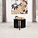 Cordova Round Solid Wood End Table Black by Coaster