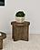 Kinkaid Round Solid Mango Wood End Table Brown by Coaster