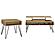 Fanning 2-piece Lift Top Coffee and End Table Set Golden Oak by Coaster