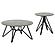 Hadi 2-piece Round SmartTop Coffee and End Table Set Cement and Gunmetal by Coaster
