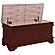 Pablo Rectangular Cedar Chest Warm Brown by Coaster