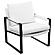 Rosalind Upholstered Track Arms Accent Chair White and Gummetal by Coaster