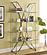 Larson 4-tier Bookcase Chrome and Clear by Coaster