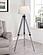 Dayton Adjustable Empire Shade Tripod Floor Lamp Grey by Coaster