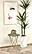 Xenia Round Bone Inlay Accent Side Table White and Gold by Coaster