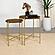 Malka 2-piece Round Nesting Table Dark Brown and Gold by Coaster