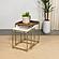 Bolden 2-Piece Square Nesting Table With Recessed Top Gold by Coaster