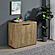 Pepita 2-door Engineered Wood Accent Cabinet w/Adjustable Shelves Mango Brown by Coaster