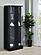 Cabra Display Case Curio Cabinet w/Glass Shelves and LED Lighting Black High Gloss by Coaster