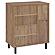 Teller 2-Door Shoe Storage Cabinet Natural Oak by Coaster
