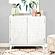 Gambon Rectangular 2-door Accent Cabinet White by Coaster