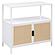 Amherst 2-Door Radio Weave Cane Metal Accent Cabinet White by Coaster