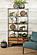 Belcroft 4-drawer Etagere Natural Acacia and Black by Coaster
