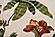 Cove Ivory Tropical Island Area Rug by KAS Rugs
