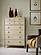 Lenox Carson Chest by American Drew