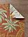 Dahlia Ivory/Rust Paradise  Area Rug by KAS Rugs