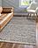 Darcy Greige Area Rug by KAS Rugs
