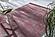Mabel - Carpet 5'x8' - Red by Enza Home
