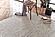 Norte - Carpet 5'x8' - Pearl Silver by Enza Home