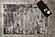 Spectrum - Carpet 5'x8' - Black / Gray by Enza Home