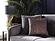 Nuvo - Plus - 3 Seater Sofa Bed - Divalux Gray by Enza Home