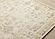 Eclipse Cream Beige Subtle Elegant Classic Rug by Kalora