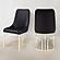 Emrald Velvet Fabric Dining Chairs w/Gold Legs (Set of 2) by Galaxy Furniture