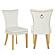 Eva Velvet Fabric Dining Chairs w/Gold Legs (Set of 2) by Galaxy Furniture