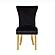 Eva Velvet Fabric Dining Chairs w/Gold Legs (Set of 2) by Galaxy Furniture