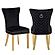 Eva Velvet Fabric Dining Chairs w/Gold Legs (Set of 2) by Galaxy Furniture