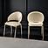 Ruby Velvet Fabric Dining Chairs w/Gold Legs (Set of 2) by Galaxy Furniture