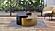 Ying Yang Black & Gold Coffee Table by Galaxy Furniture