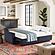 Serta&reg; Granger Queen Convertible Sofa in Navy by Lifestyle
