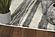 Hue Beige/Grey Landscapes Area Rug by KAS Rugs