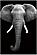 Wall Art Elephant by J&M Furniture