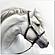 Wall Art White Horse by J&M Furniture