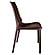 Kent Outdoor Dining Set With 2 Chairs in Brown, Brown by LeisureMod
