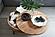 Privado Storage Coffee Table by Moe's Home Collection