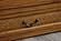 Kingston Queen Murphy Cabinet Bed by Arason Furniture