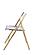Menno Mid-Century Modern Acrylic Folding Chair in Brushed Gold Finish (Set of 2) by Leisuremod