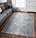 Luna Birch Platinum Area Rug by KAS Rugs