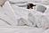 Super Cooling Duvet Insert by Mlily