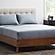 600 Thread Count Cotton-Blend Sheet Set by Malouf