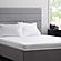 Double-Brushed Microfiber Sheet Set by Malouf