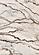 Mae White Grey Orange Veined Marble Design Rug by Kalora