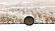 Marley Oatmeal Feria Area Rug by KAS Rugs