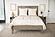 Alpaca Comforter (Duvet Insert) by Naturepedic